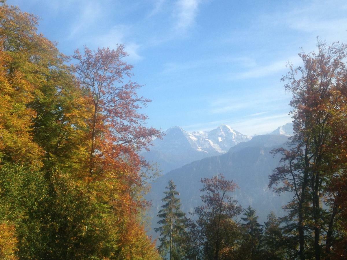 App. Seeblick Top Of Interlaken Беатенберг Экстерьер фото