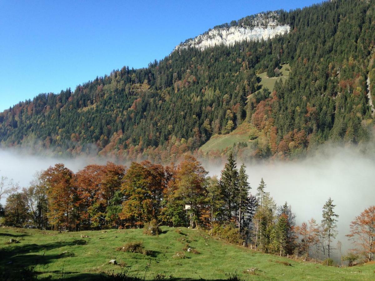 App. Seeblick Top Of Interlaken Беатенберг Экстерьер фото